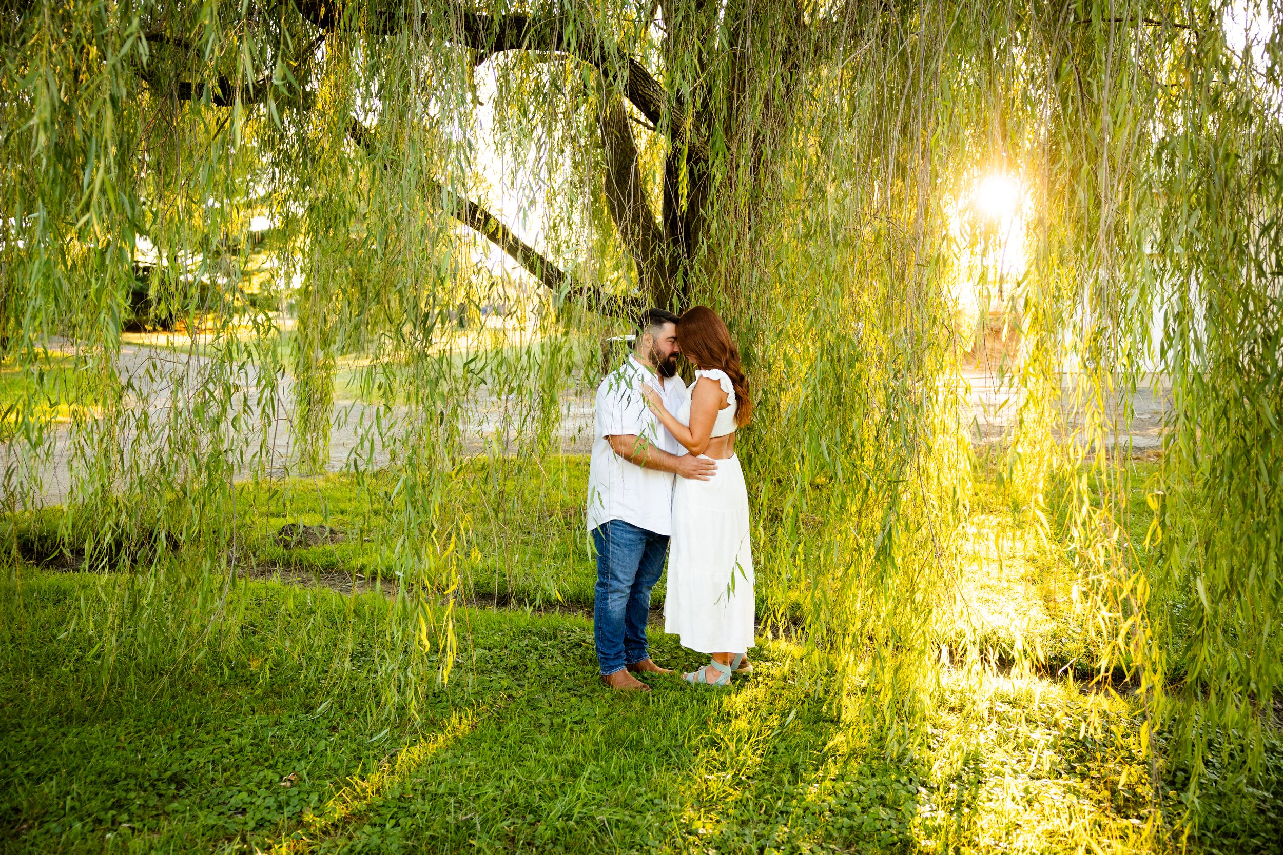 A romantic couple embraces under golden sunlit willow trees during an outdoor photo session at Wolf Run Acres in Washington CH
