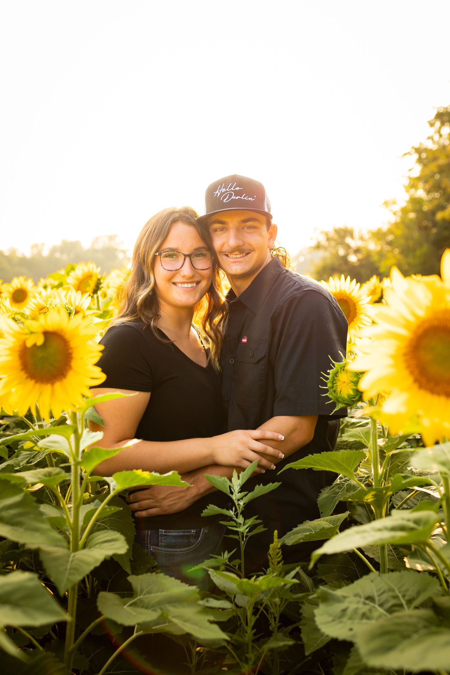 A couple embraces in a beautiful sunflower field during golden hour sunset as warm light illuminates the blooming flowers.