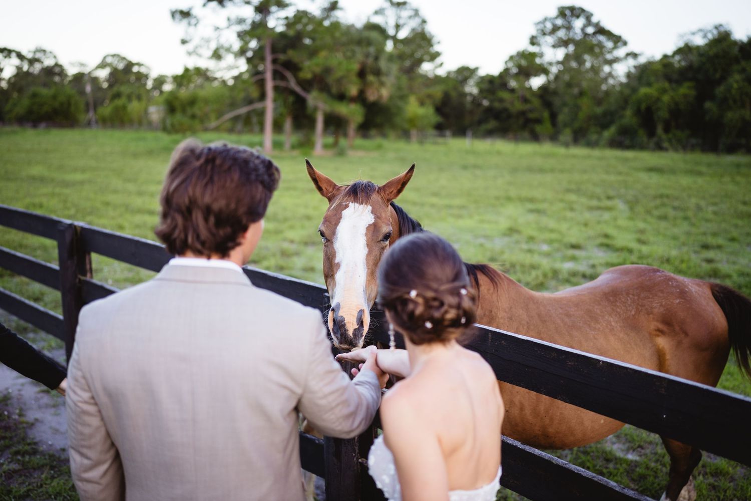 A couple stands at a wooden fence petting a brown and white horse in a green pasture.