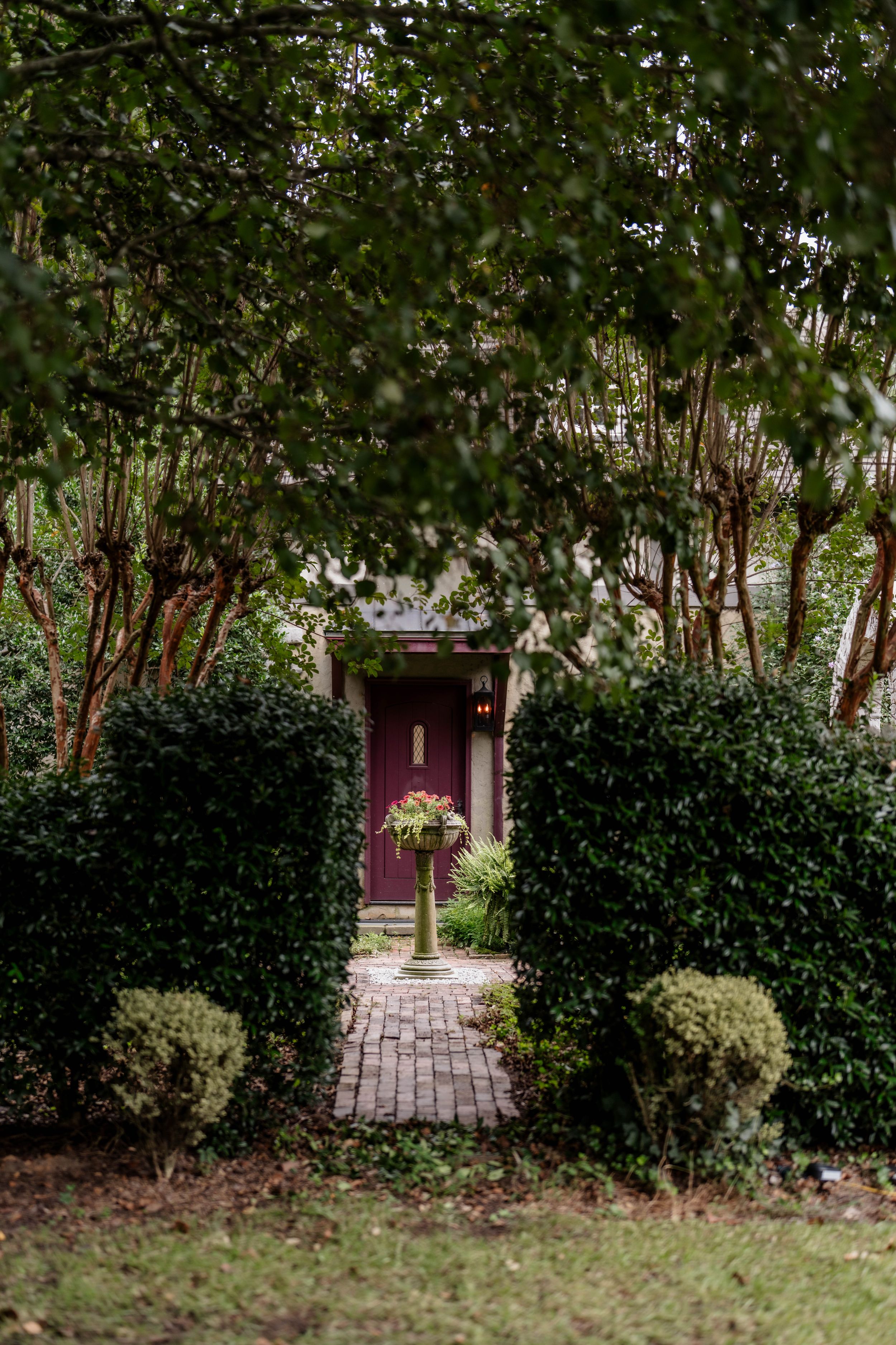 A brick pathway leads through lush green landscaping to a burgundy colored door in a residential garden setting.