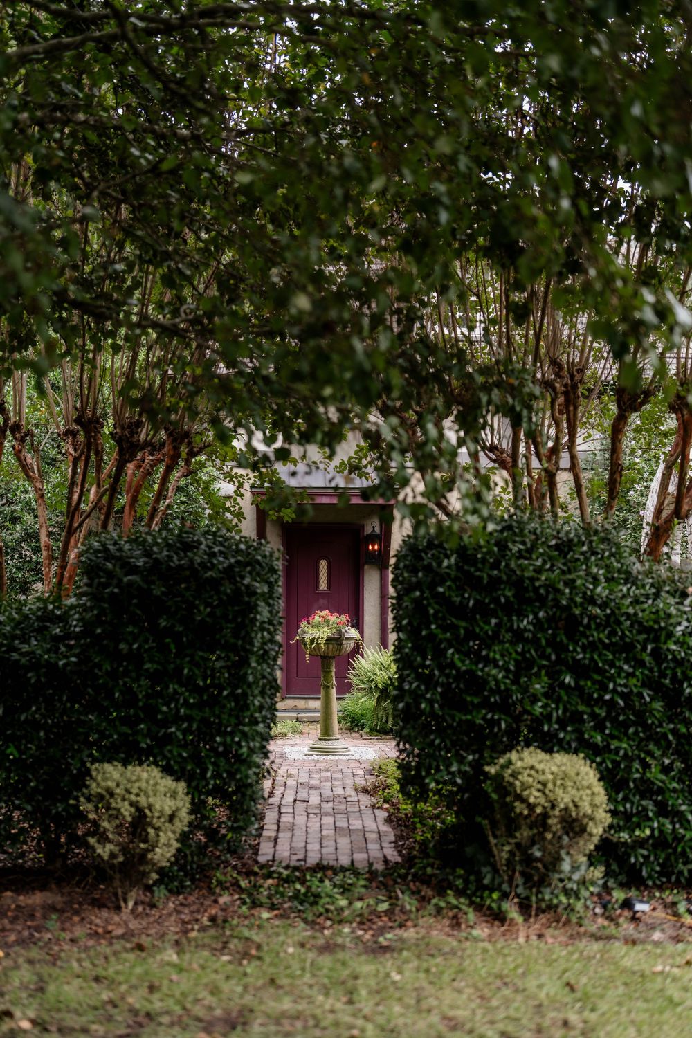 A brick pathway leads through lush green landscaping to a burgundy colored door in a residential garden setting.
