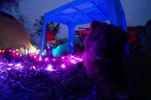 Festival scene with blue lighting and silhouetted crowd against dark evening sky.