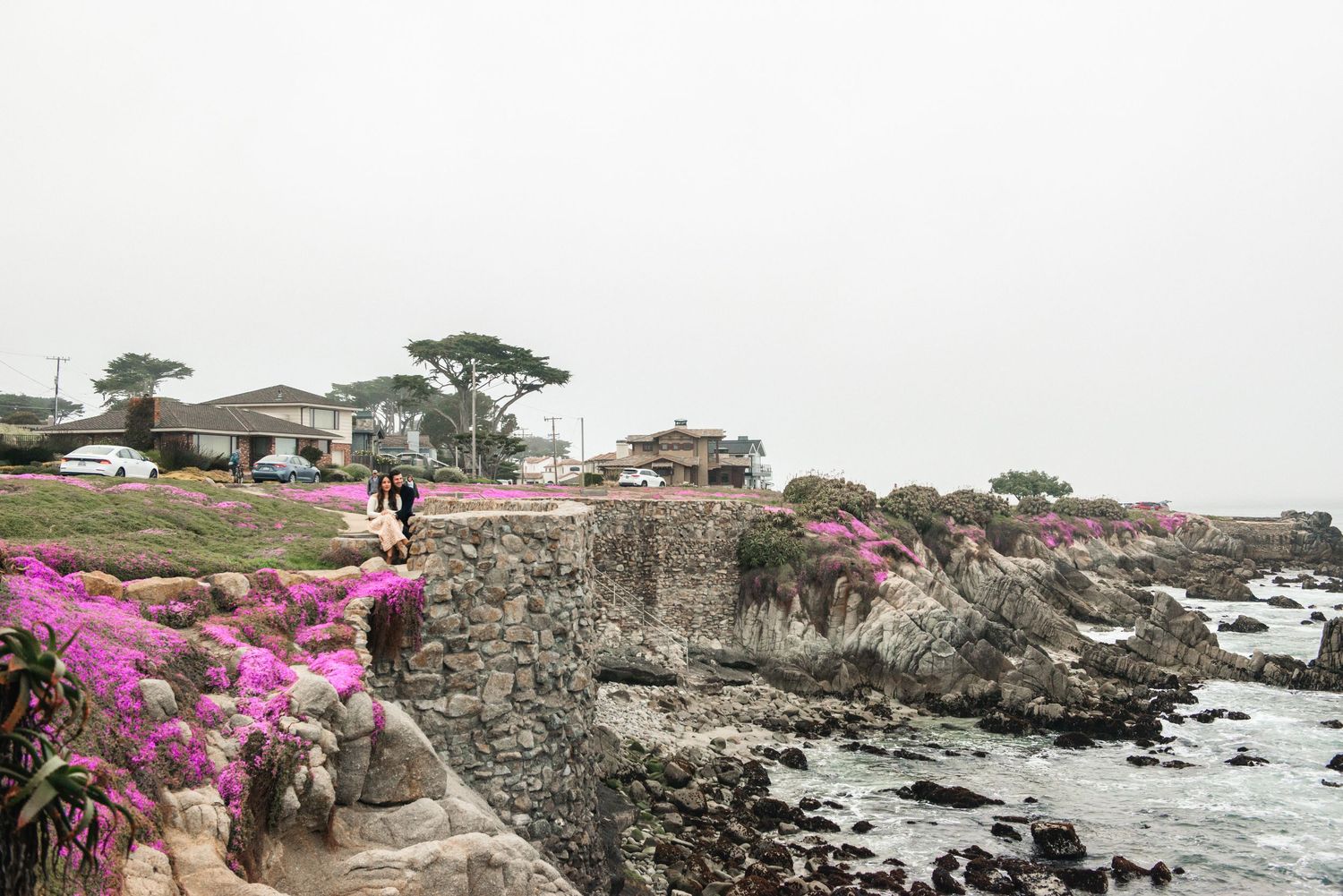 Pink flowers bloom along the rocky Pacific Grove coastline with coastal homes and cypress trees in the background.