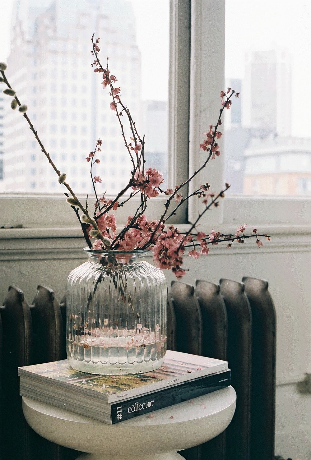 Glass vase with pink cherry blossom branches against city window view.