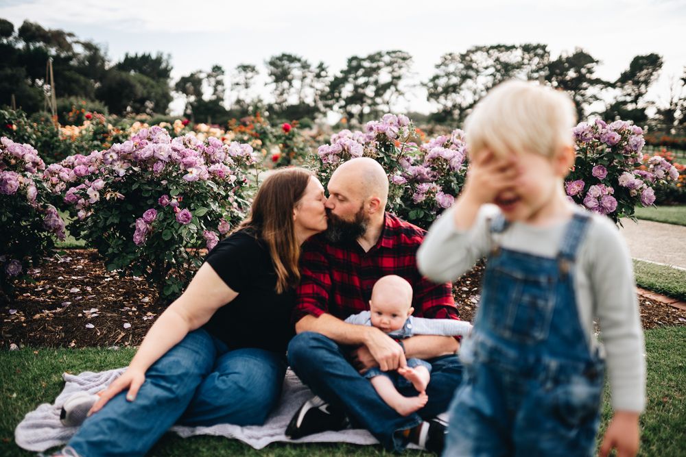 Mom and dad kissed on a blanket in a garden with blooming pink roses with a boy covering his face taken by Melbourne family photographer.