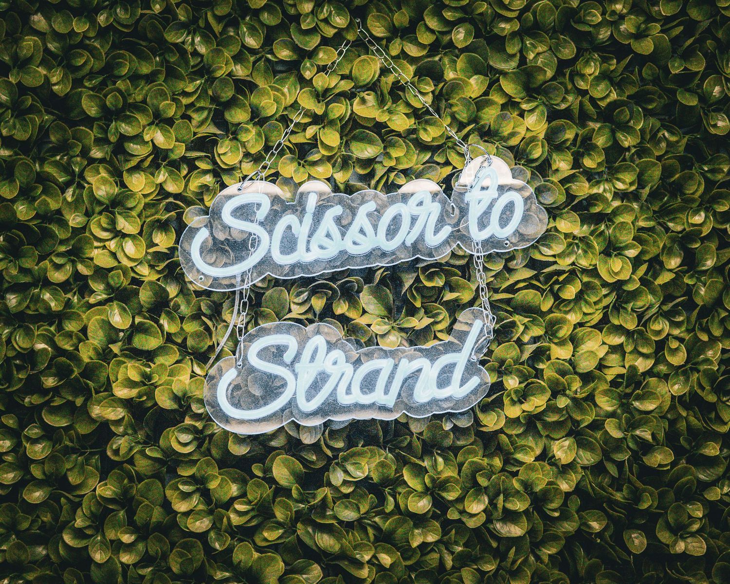 Neon sign reading 'Scissor to Strand' glows against a wall of green foliage.