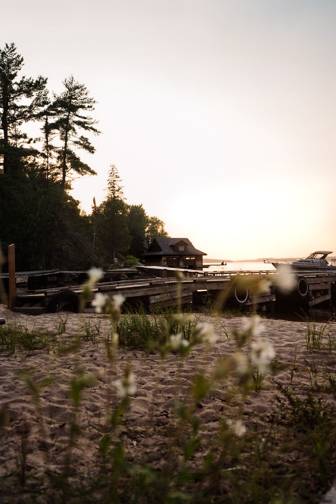 Small aircraft parked on a rocky beach during golden hour with pine trees in the background.