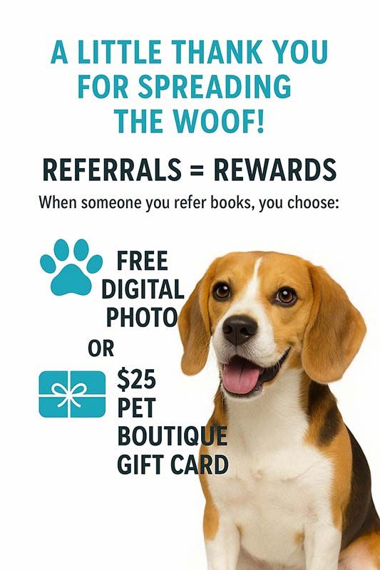 Pet boutique referral rewards advertisement with cheerful beagle dog.