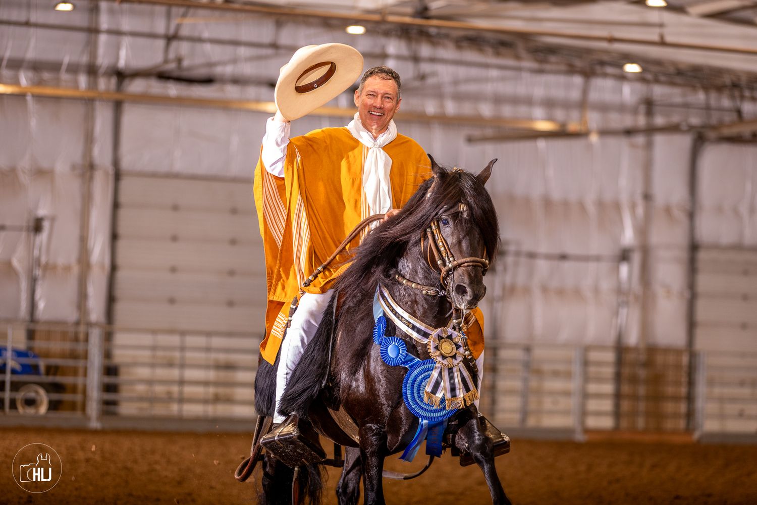 Beautiful dapple gray show horse performing in arena with decorated western tack.