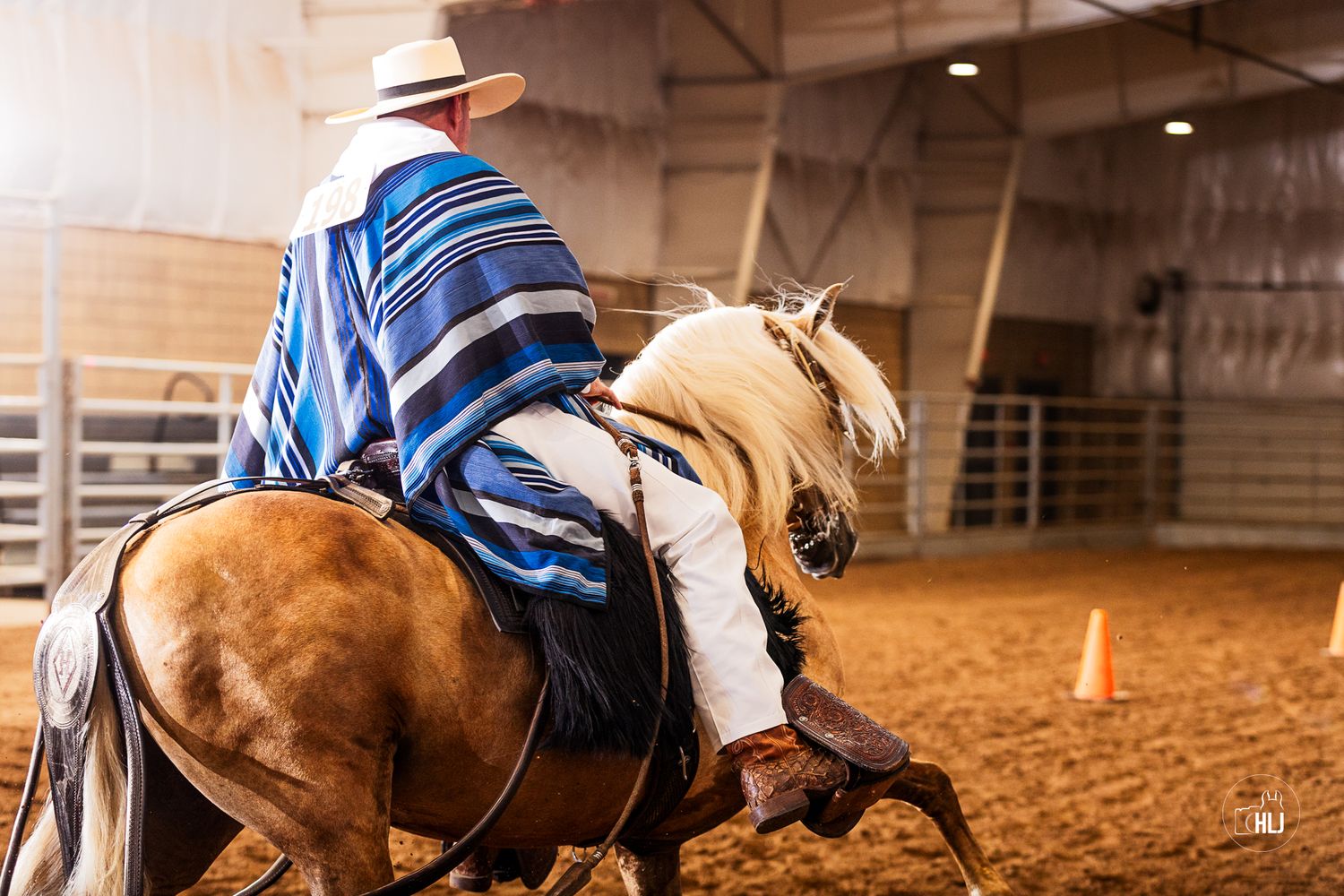 Beautiful dapple gray show horse performing in arena with decorated western tack.