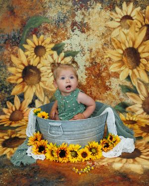 Whimsical autumn-themed portrait series featuring rustic washtub with sunflowers against textured brown and orange backdrop.