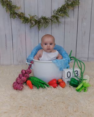 A baby poses with stuffed animals and numbered blocks during a staged milestone photo session on a cream carpet.