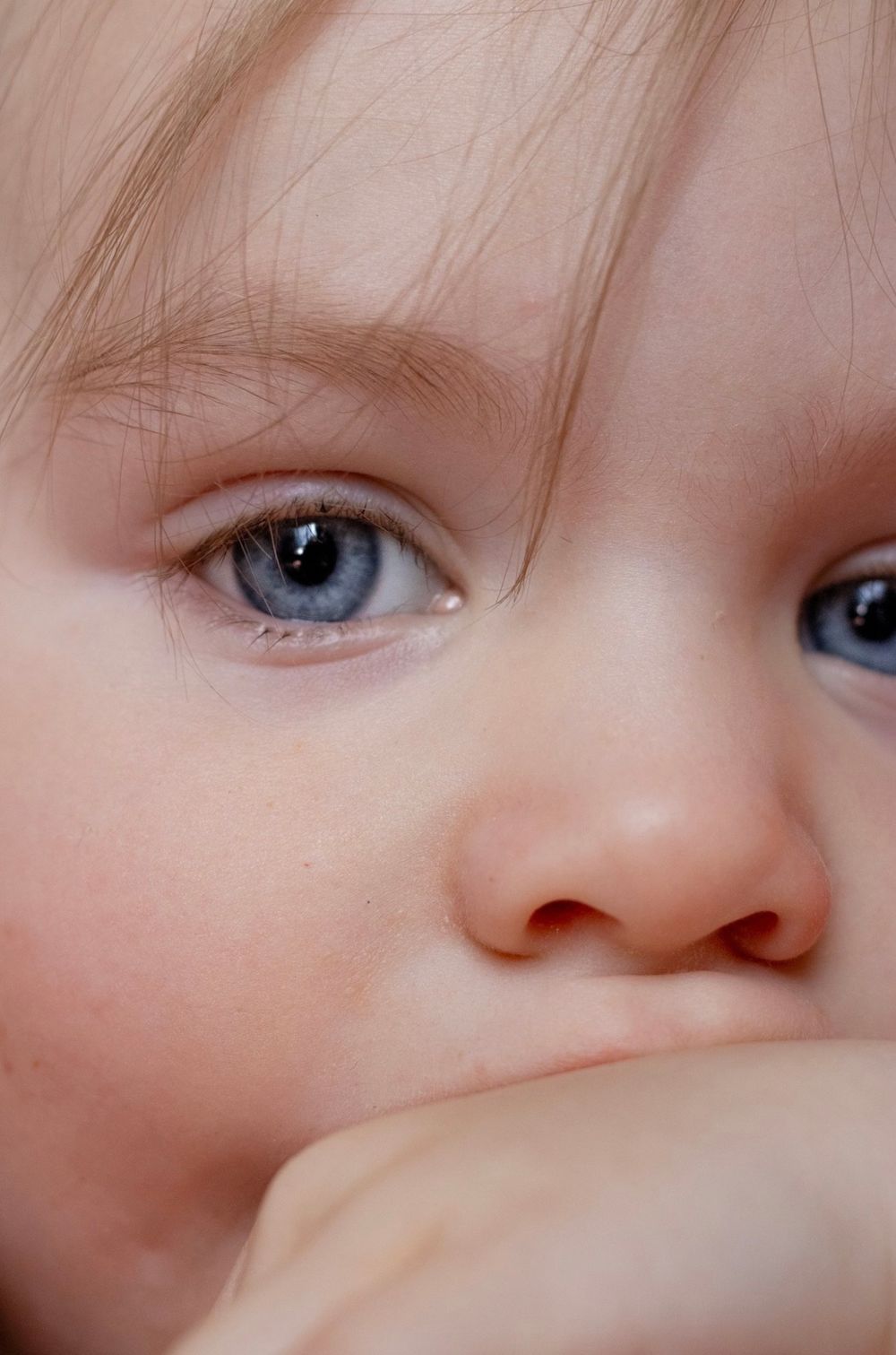 Close-up of a toddler with blue eyes, captured in soft natural light, by Raley & Roots Photography.