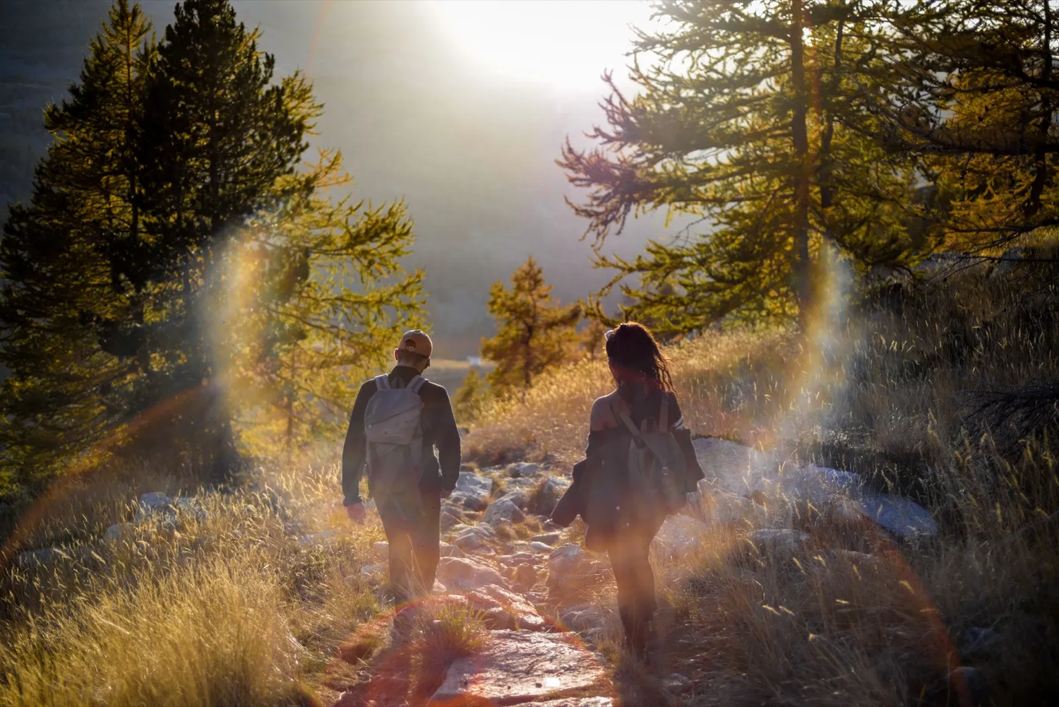 Deux personnes marchent sur un sentier de forêt baigné par une lumière dorée, entourées de pins et d’un halo solaire intense.