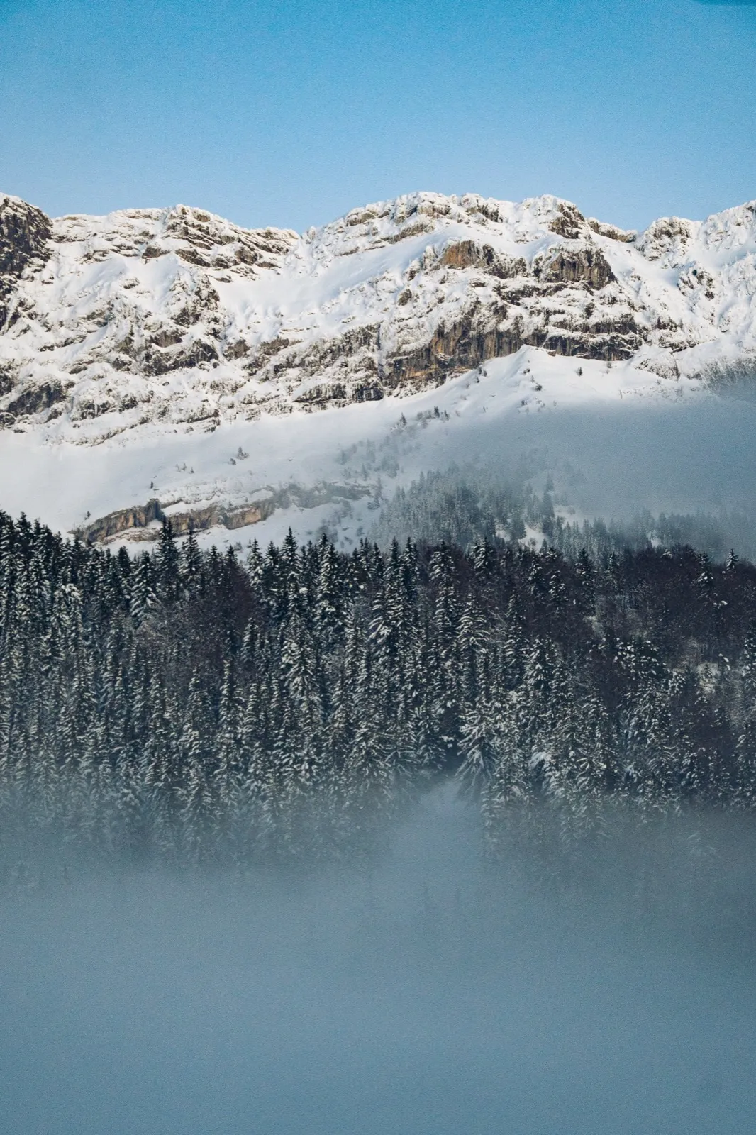Vue aérienne d'une forêt et d'une montagne enneigé.