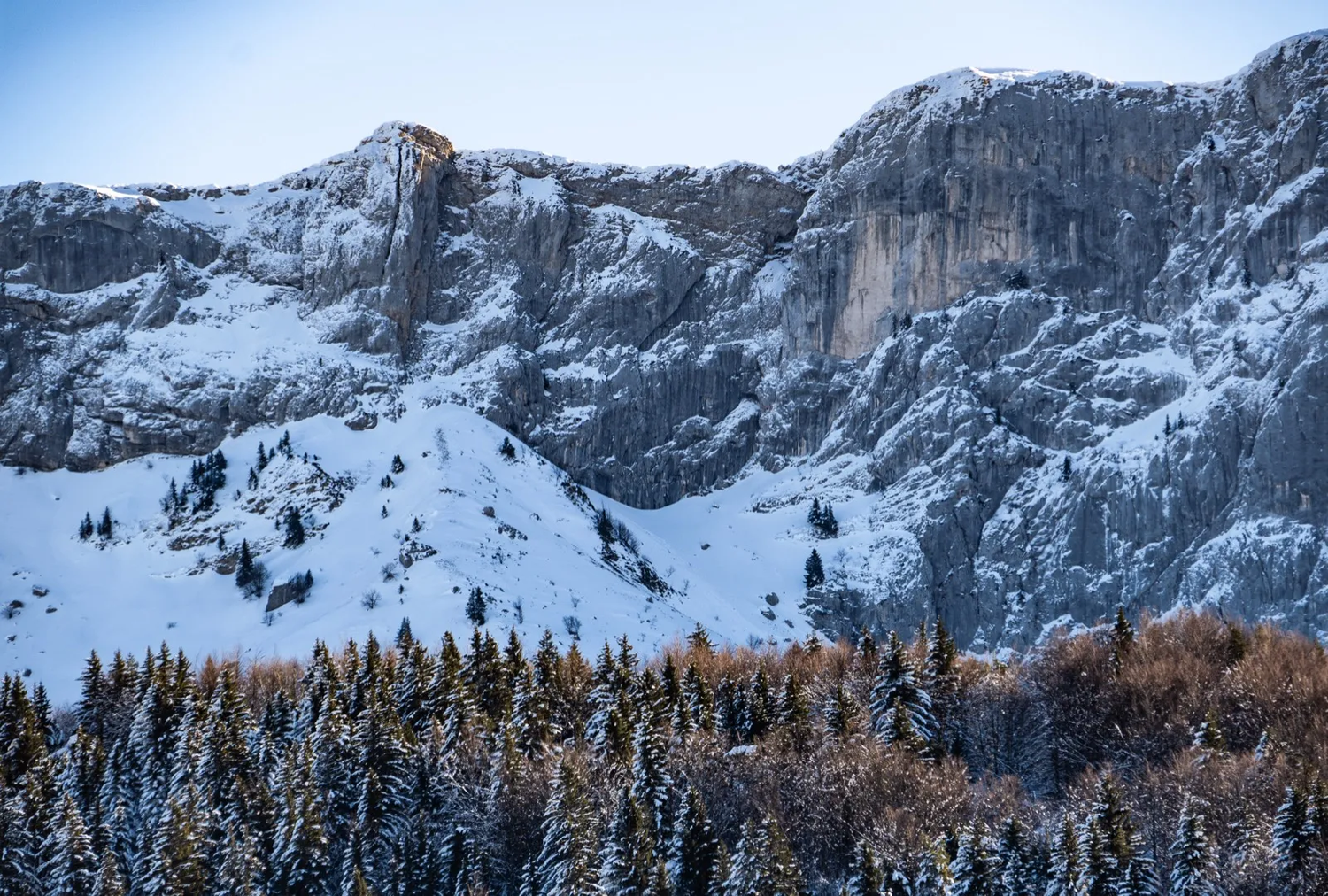 Vue aérienne d'une forêt et d'une montagne enneigé.