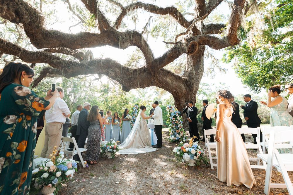 Outdoor wedding ceremony under a majestic oak tree with guests seated on white chairs and blue floral decorations.
