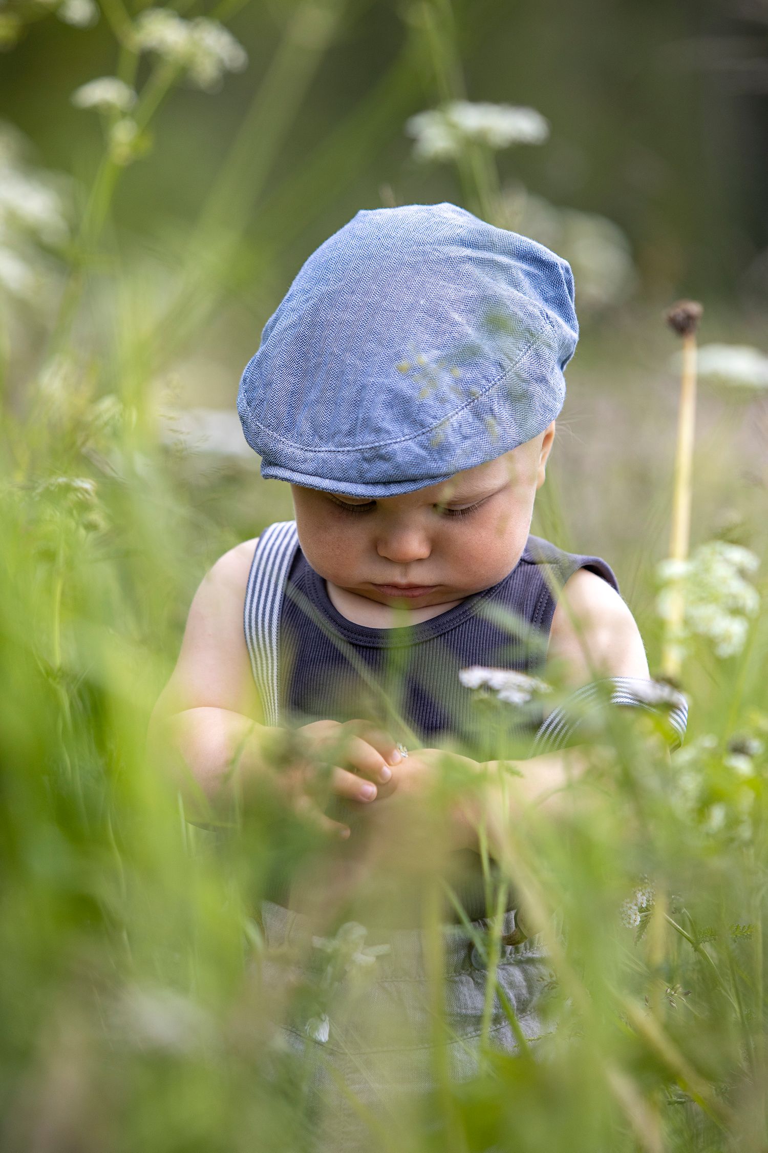 A young toddler boy wearing a blue flat cap explores tall green grass and wildflowers outdoors on a sunny day.