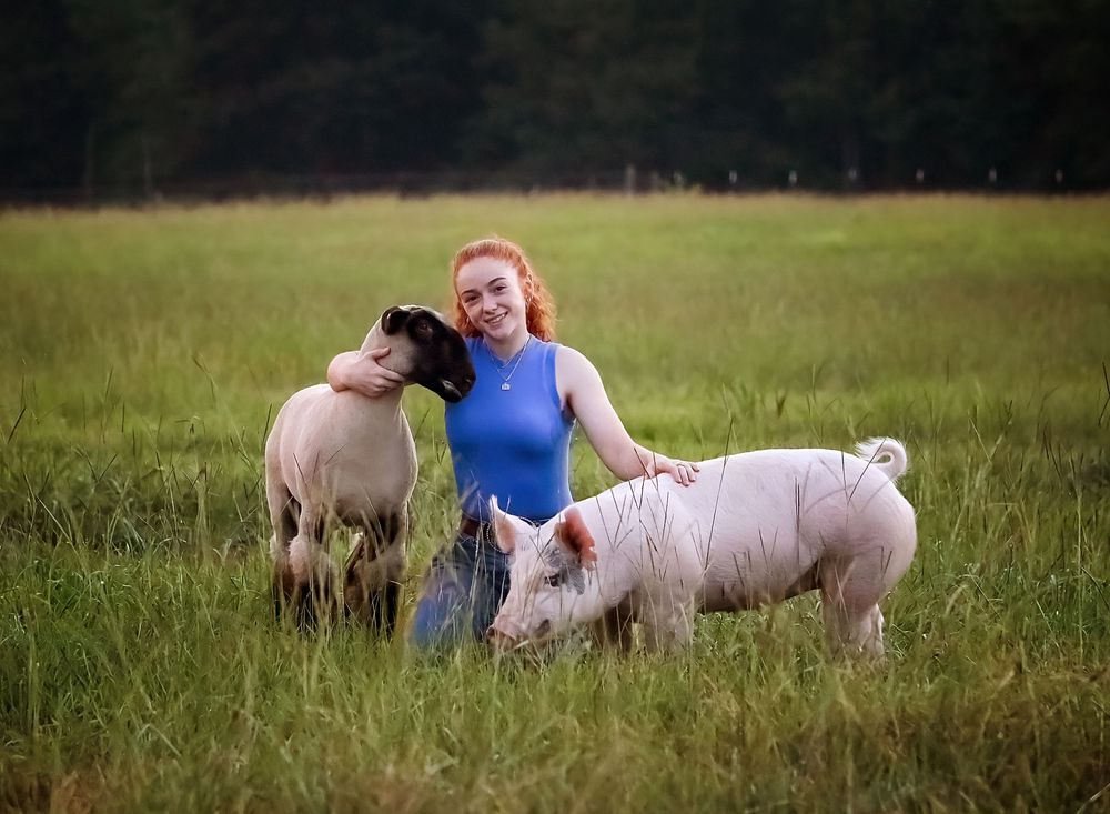 Animals