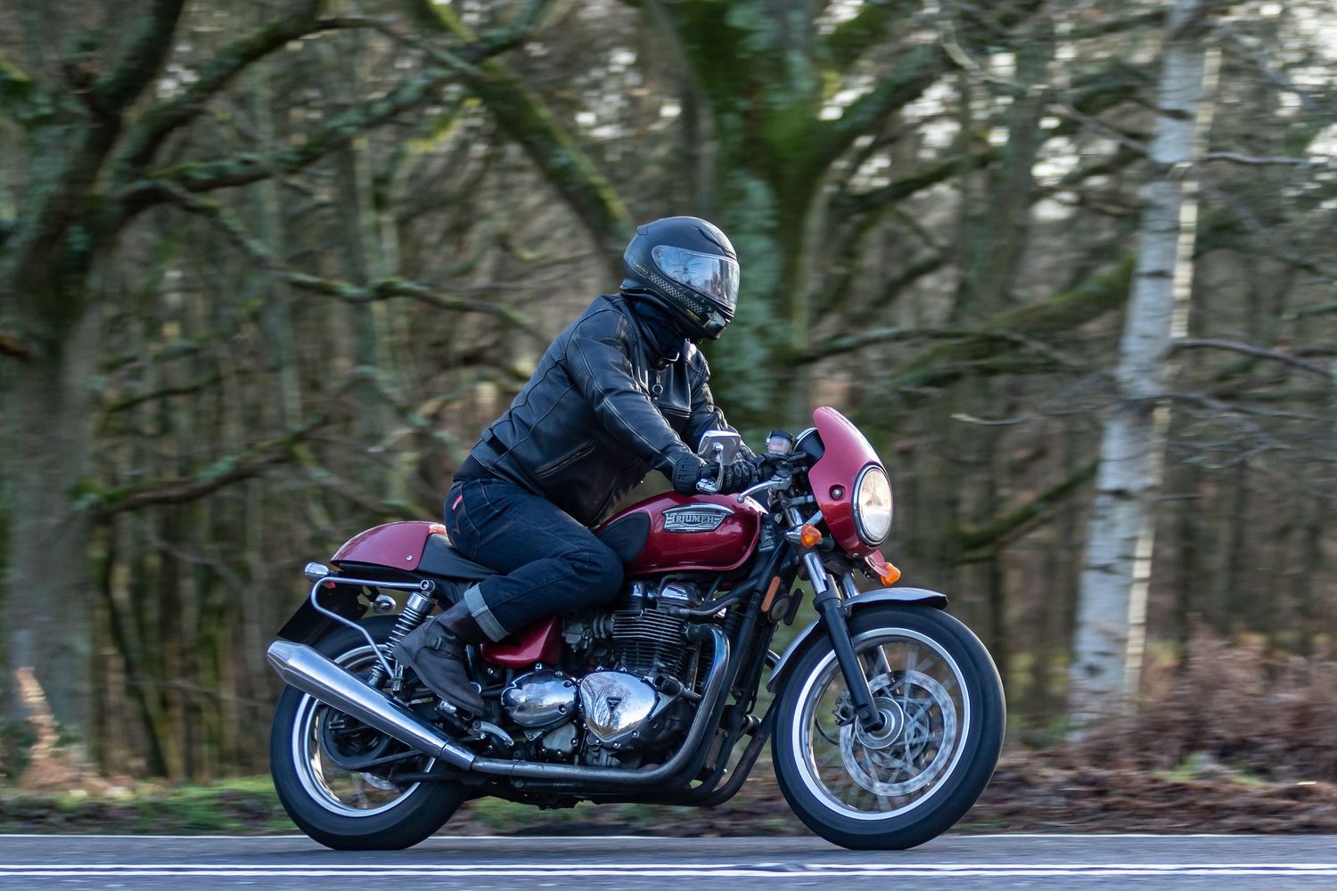 A motorcyclist rides a classic Triumph motorcycle through a wooded area on a curving road.