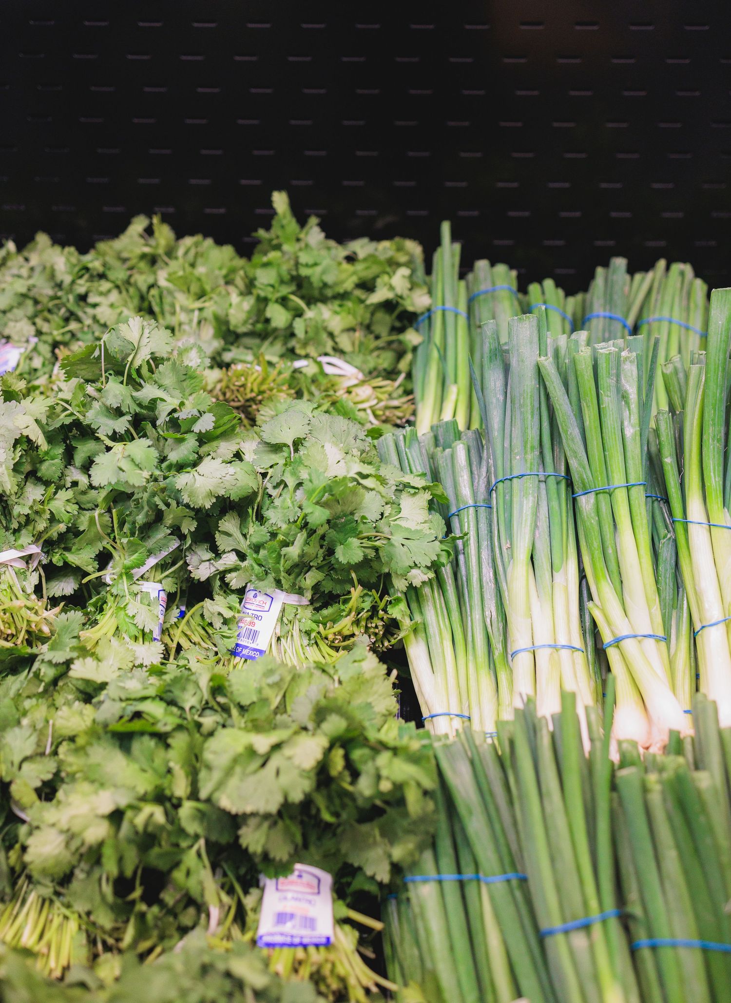 Fresh green onions and herbs displayed in bunches at a produce market.