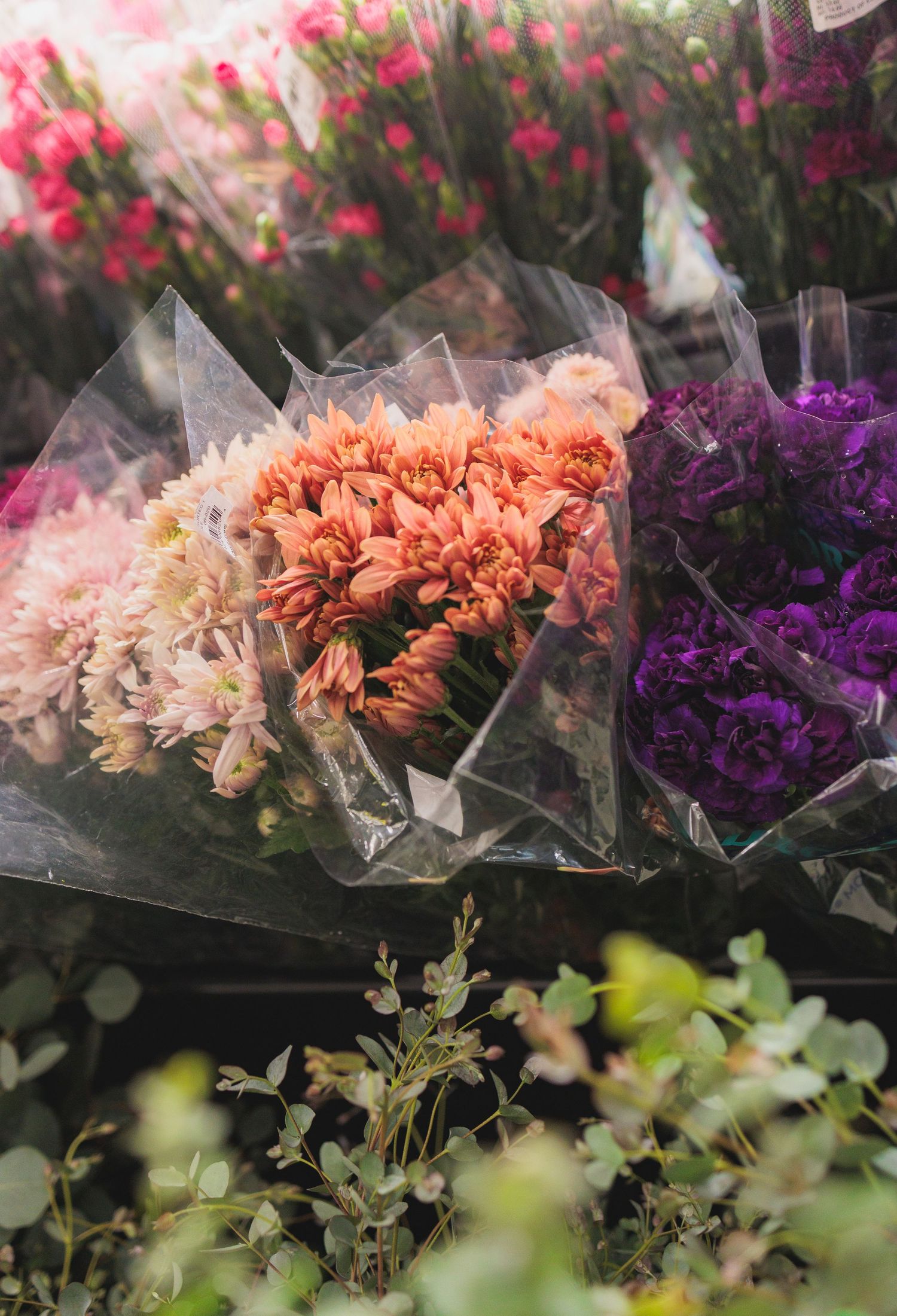 Colorful bouquets of pink, purple, and peach carnations wrapped in plastic at a flower display.