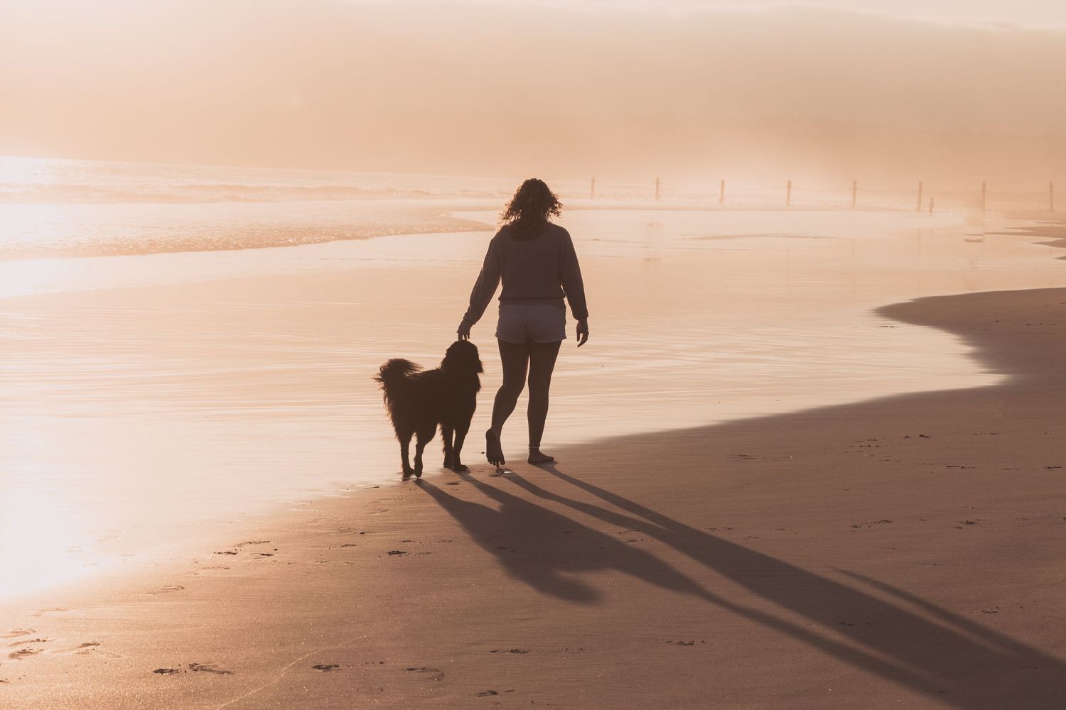 Silhouetted figure walks with their dog along a peaceful beach at sunset casting long shadows on the sand.