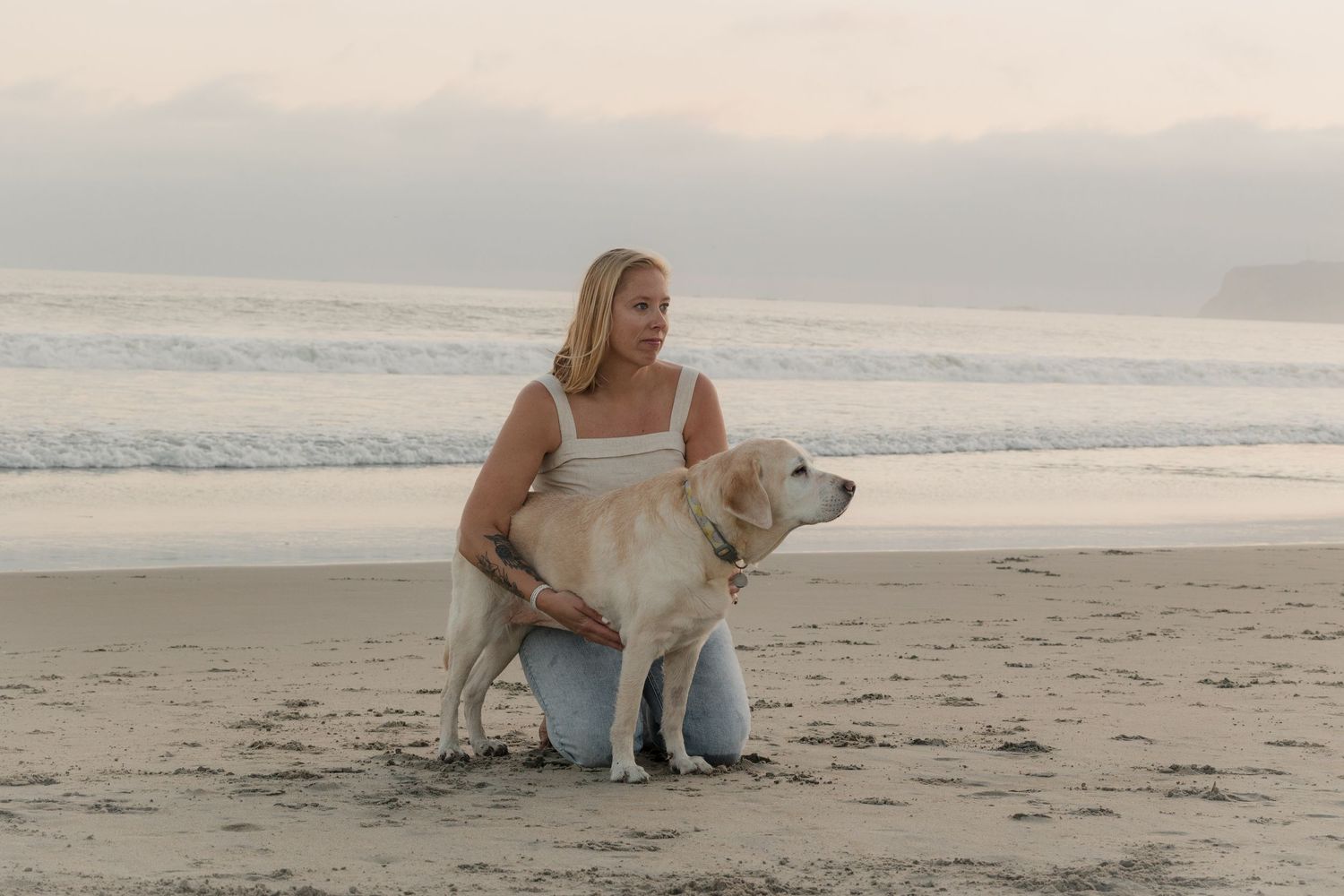 Person and their golden retriever sit together on a peaceful beach at sunset enjoying a quiet moment by the ocean.