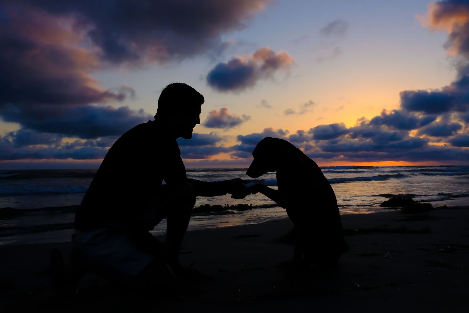 Silhouette of person and dog bonding together on beach at sunset with dramatic cloudy sky over ocean.