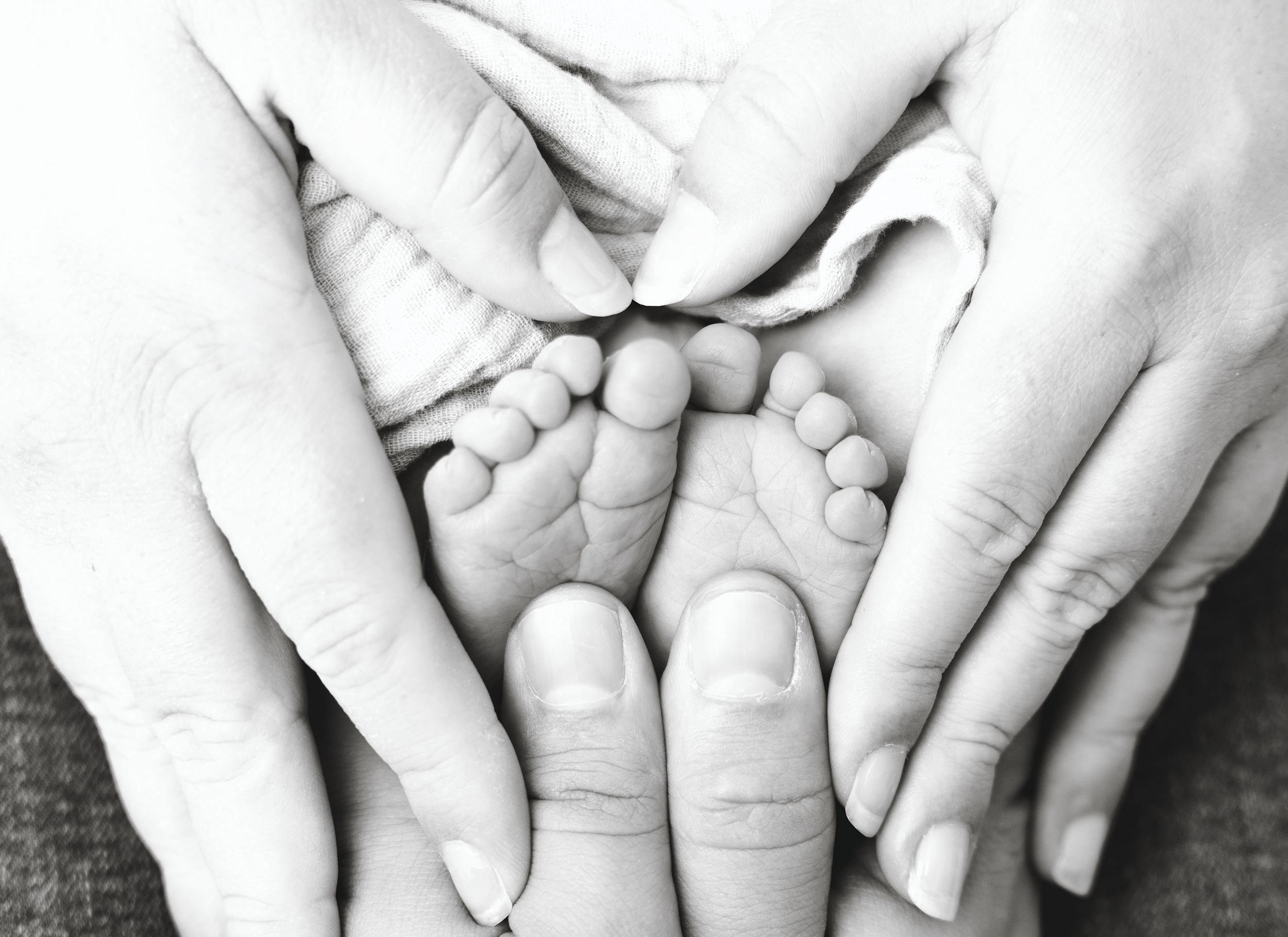 Black and white close-up photo of adult and baby hands tenderly touching in a loving gesture.