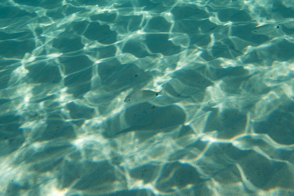 Sunlight creates rippling patterns on turquoise swimming pool water with gentle waves and reflections.