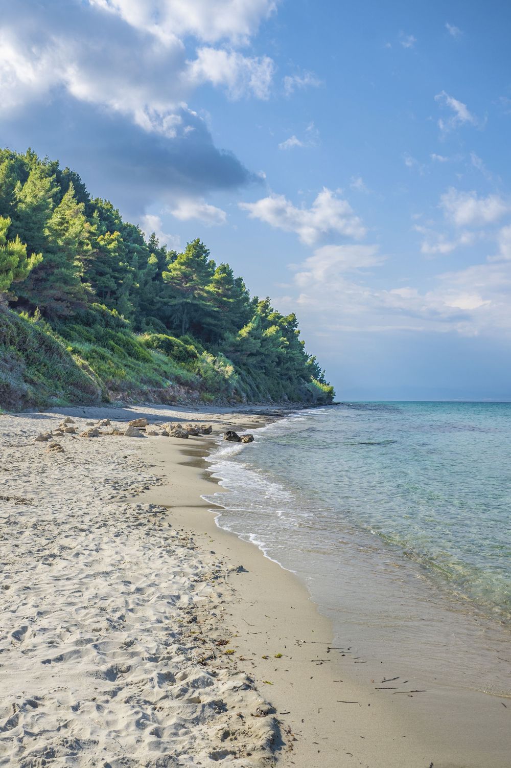 Scenic Mediterranean beach with crystal clear turquoise water, sandy shoreline and pine-covered hillside under blue sky.