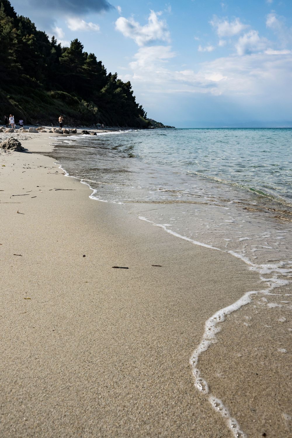 Crystal clear turquoise waters meet a pristine sandy beach with pine trees along the Mediterranean coastline.