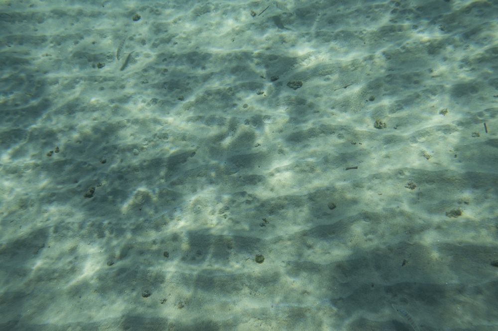 Crystal clear turquoise ocean water ripples with sunlight creating mesmerizing patterns on the sandy seafloor.
