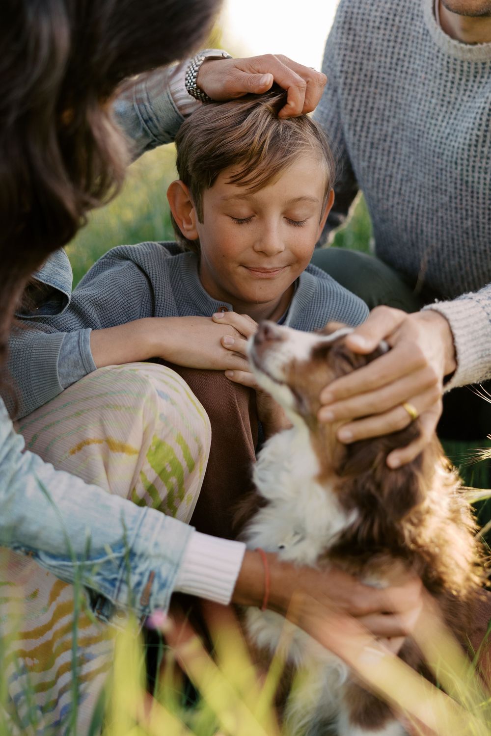 A tender family moment outdoors as hands gently pet a small dog while sitting in tall grass during golden hour.