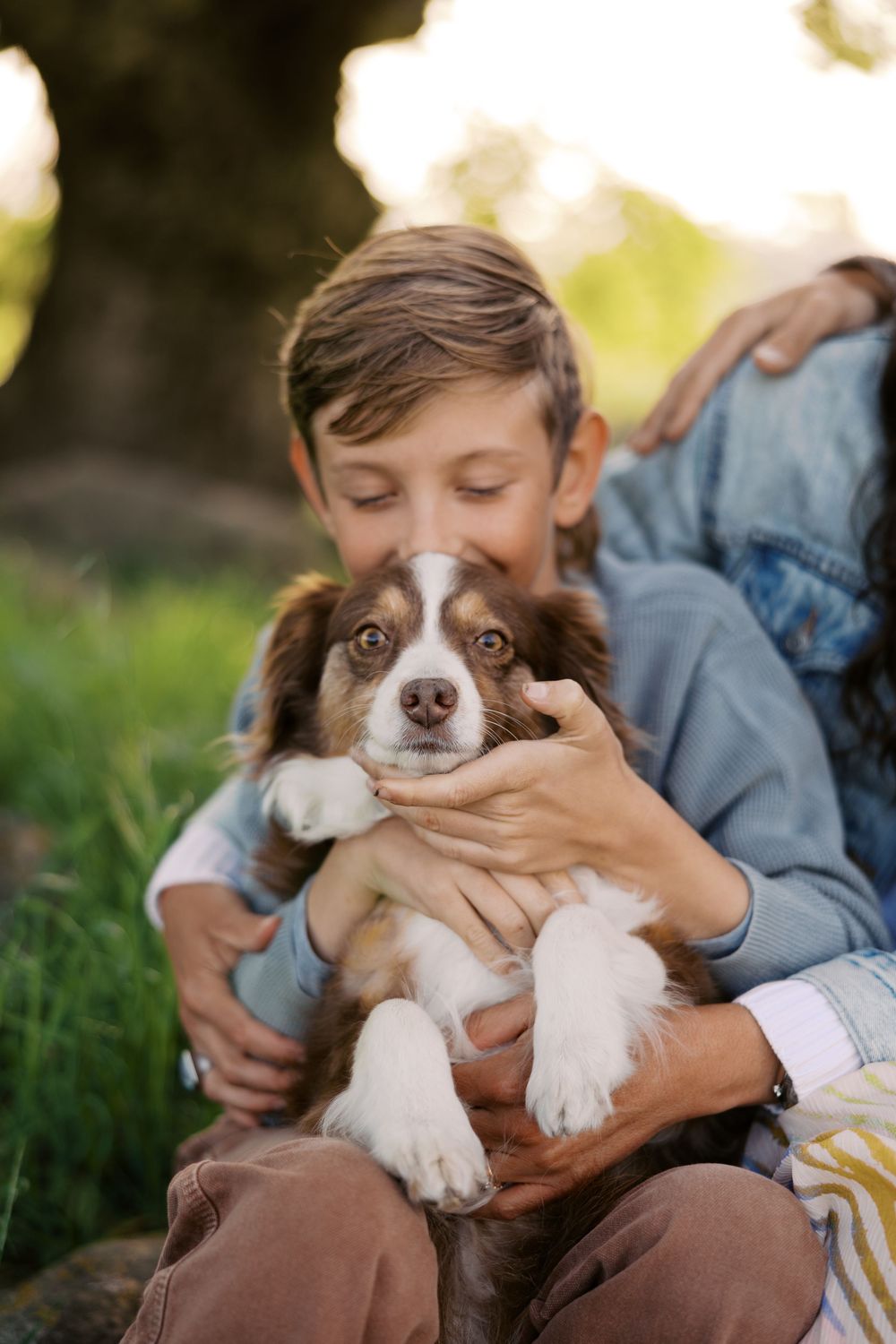 A brown and white dog being cuddled while lying on grass during a warm sunset.
