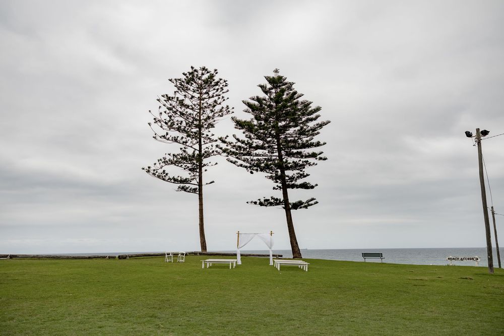 Two tall pine trees stand on a grassy coastal hill with benches overlooking the ocean under an overcast sky.