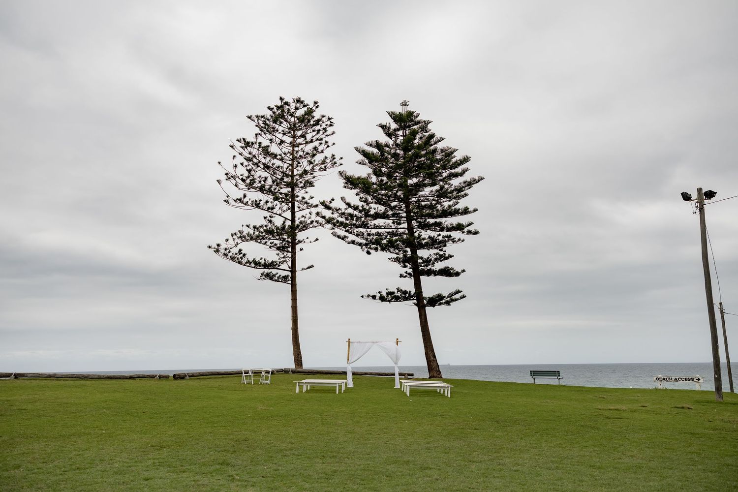 Two tall pine trees stand on a grassy coastal hill with benches overlooking the ocean under an overcast sky.