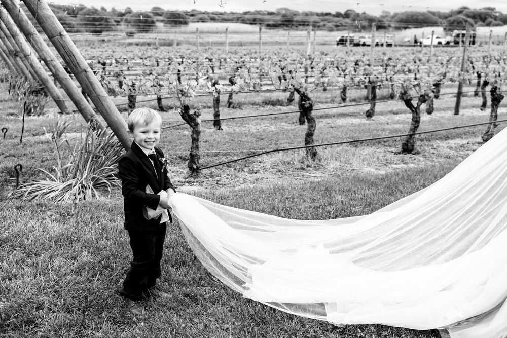 Wedding party holding white fabric while walking through vineyard rows.