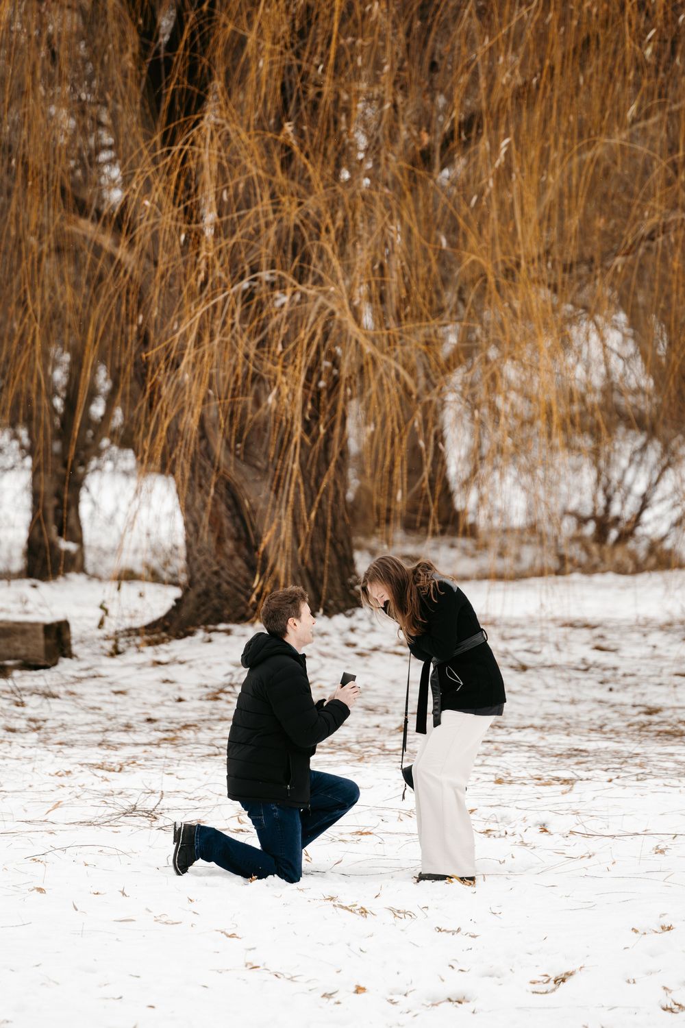 A couple playfully poses in a snowy winter scene with bare trees in the background.
