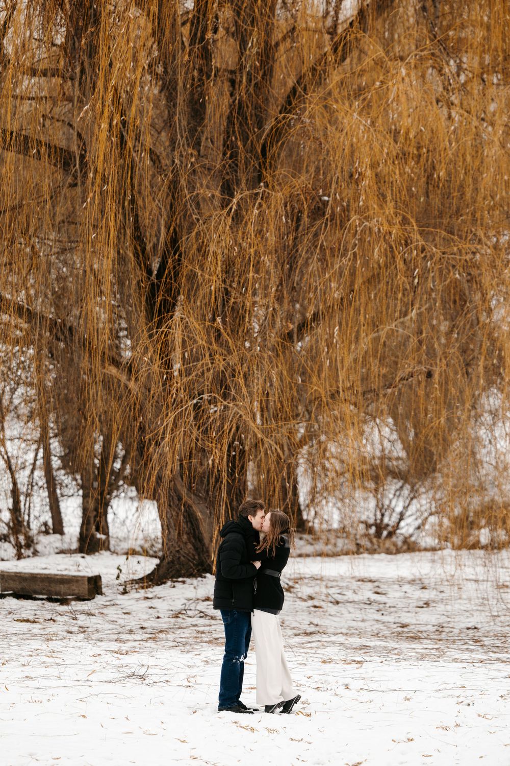 A couple stands together in a snowy winter scene with golden willow trees in the background.