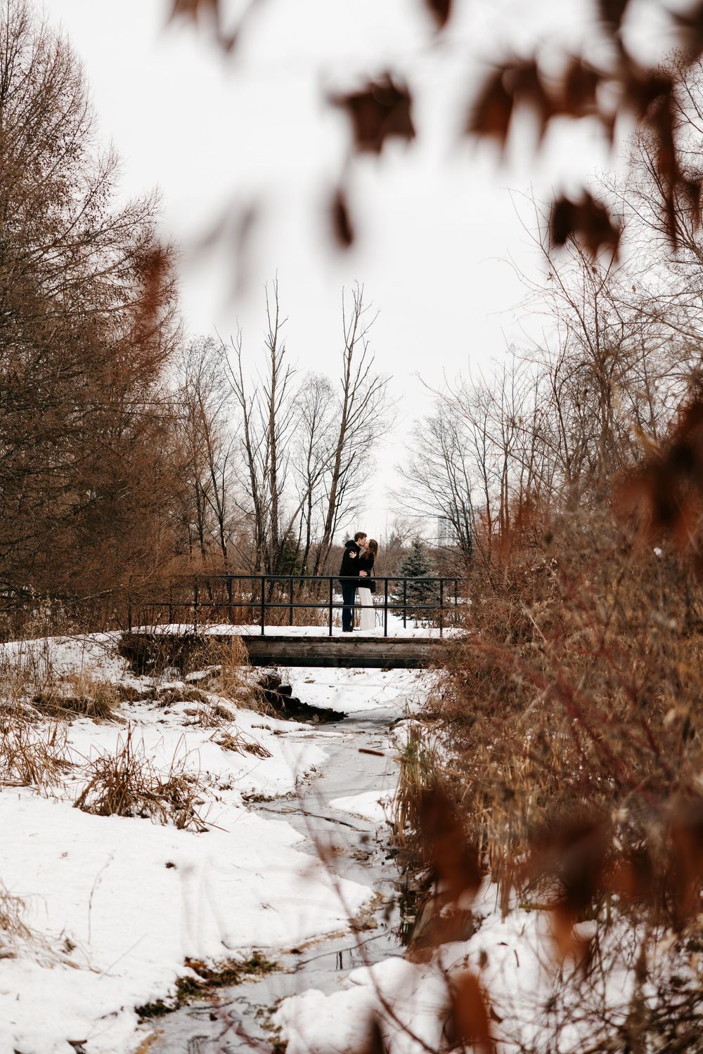 A snowy winter path leads to a footbridge through bare trees and brown foliage in a peaceful landscape.
