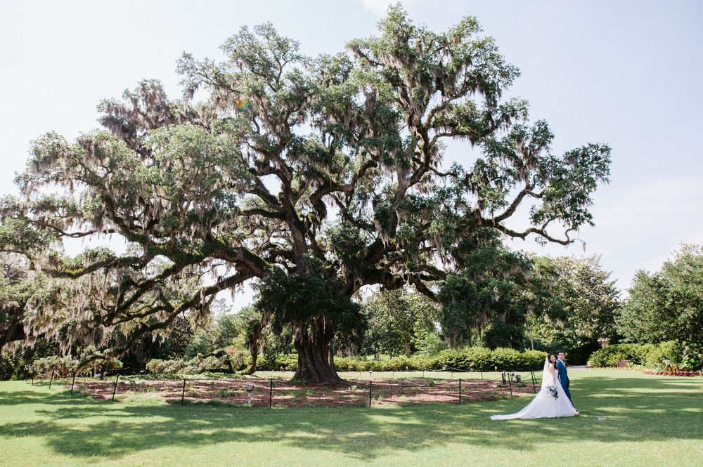 A series of panoramic shots showing a scenic outdoor wedding venue with majestic oak trees and Spanish moss.
