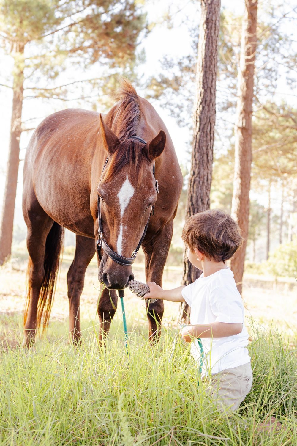 Family portrait session photographed outdoors in the Garden Route