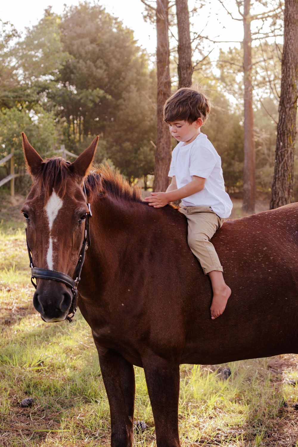 Family portrait session photographed outdoors in the Garden Route