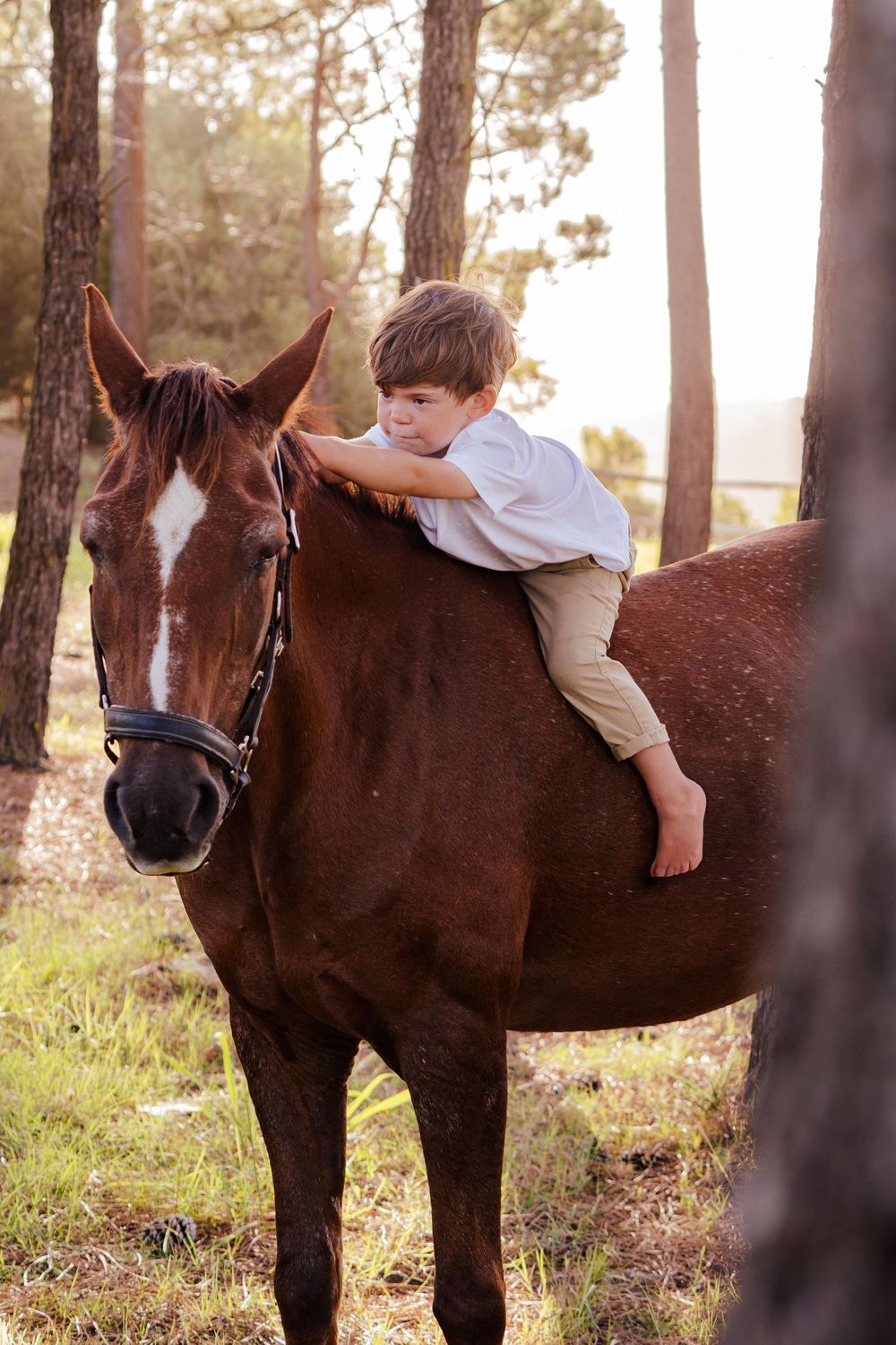 Family portrait session photographed outdoors in the Garden Route