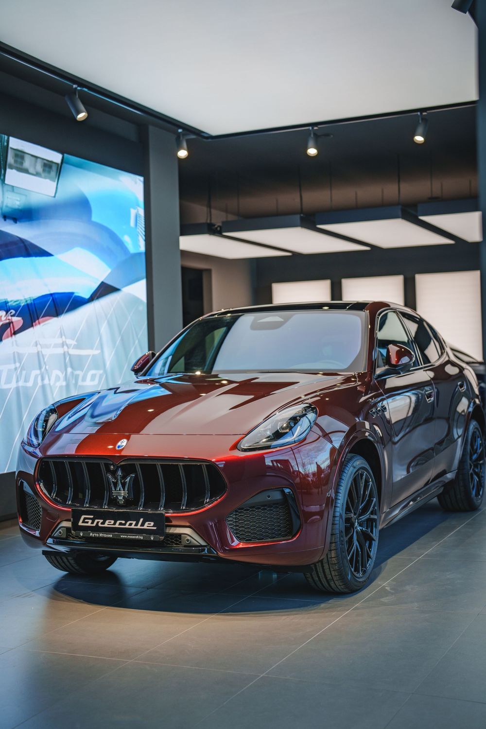 A row of sleek red Maserati sports cars displayed in a modern luxury car showroom with ambient lighting.