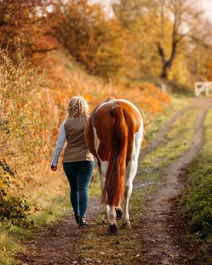 Horse and handler walking together on a tree-lined path during fall season.