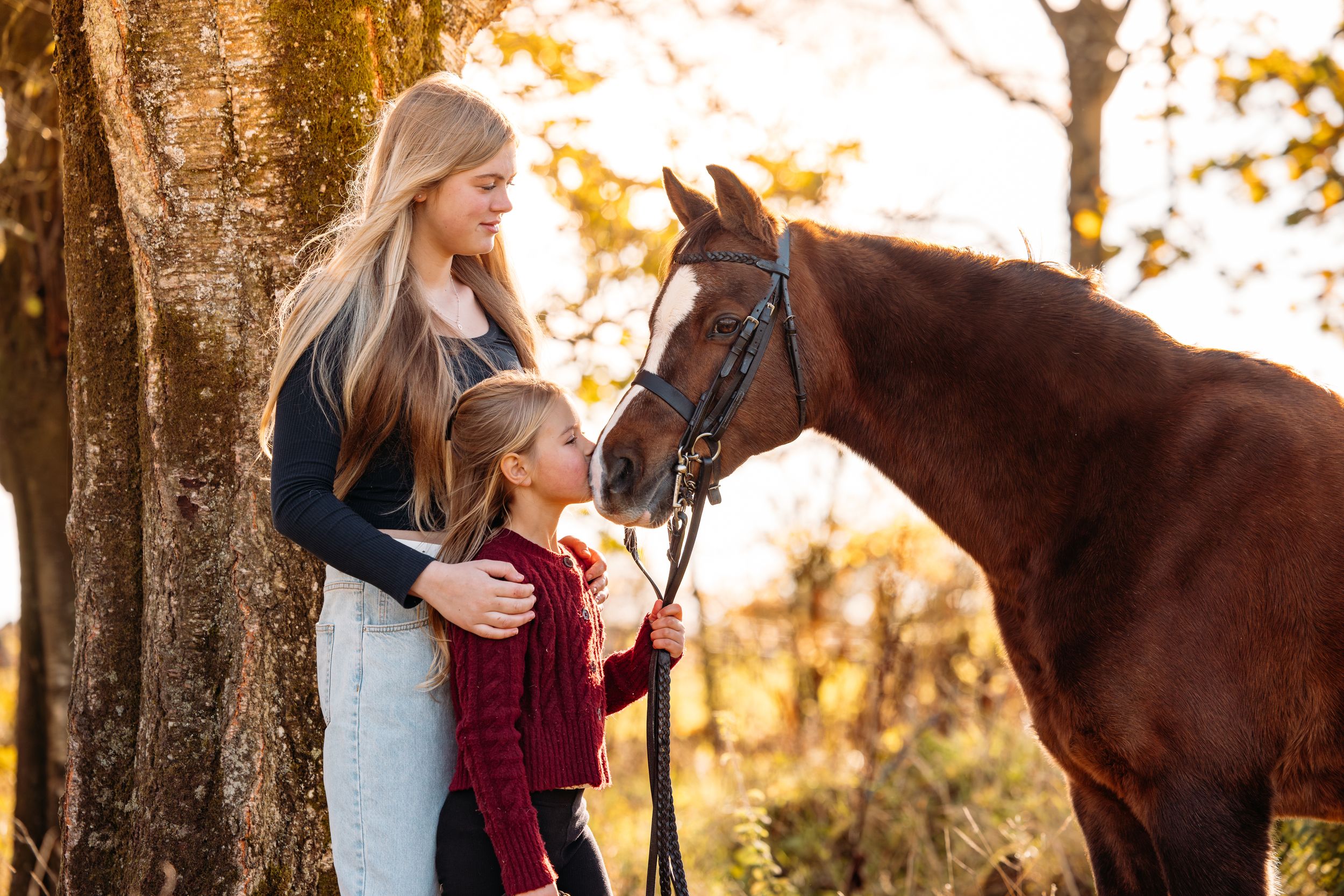 A dark horse and companion share a tender moment with an apple in an autumn setting with golden foliage.