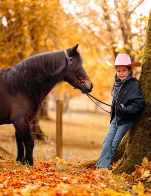 Black horse and companion play in fallen autumn leaves under a large tree.
